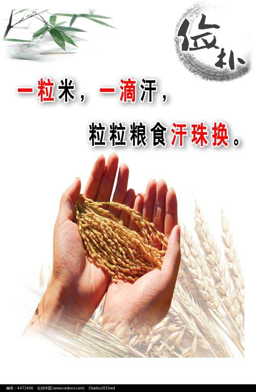 不动产权证浙江省编号规则